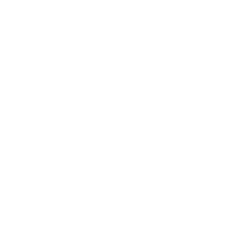Çelik Akü