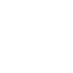 Decathlon Logo